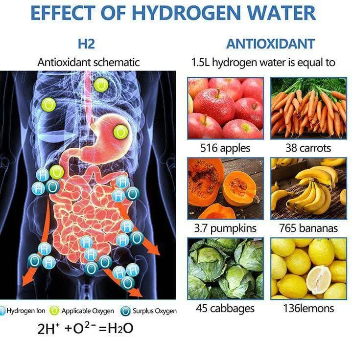 wellnest-hydrogen-water-machine